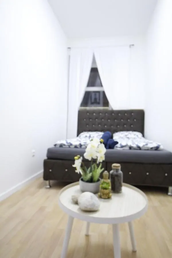 Appartement Premier Double Room Th A Vienne